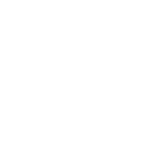 insight1
