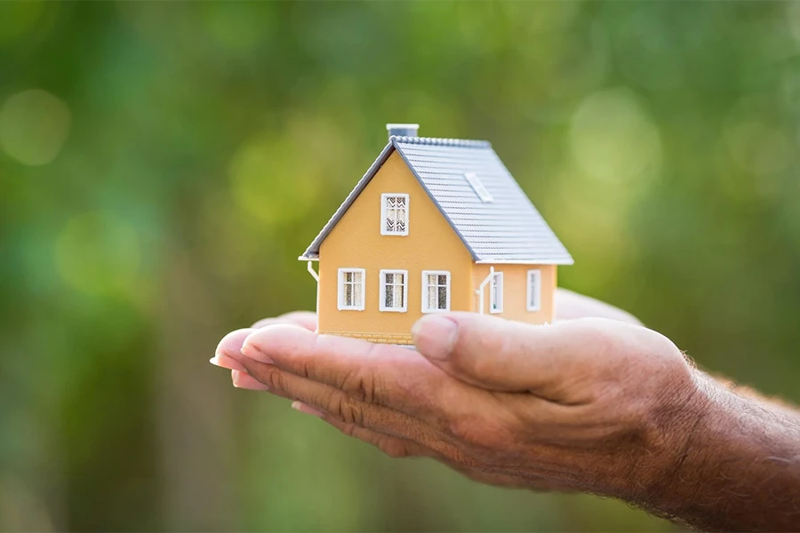 Maintenance & Home Inspection